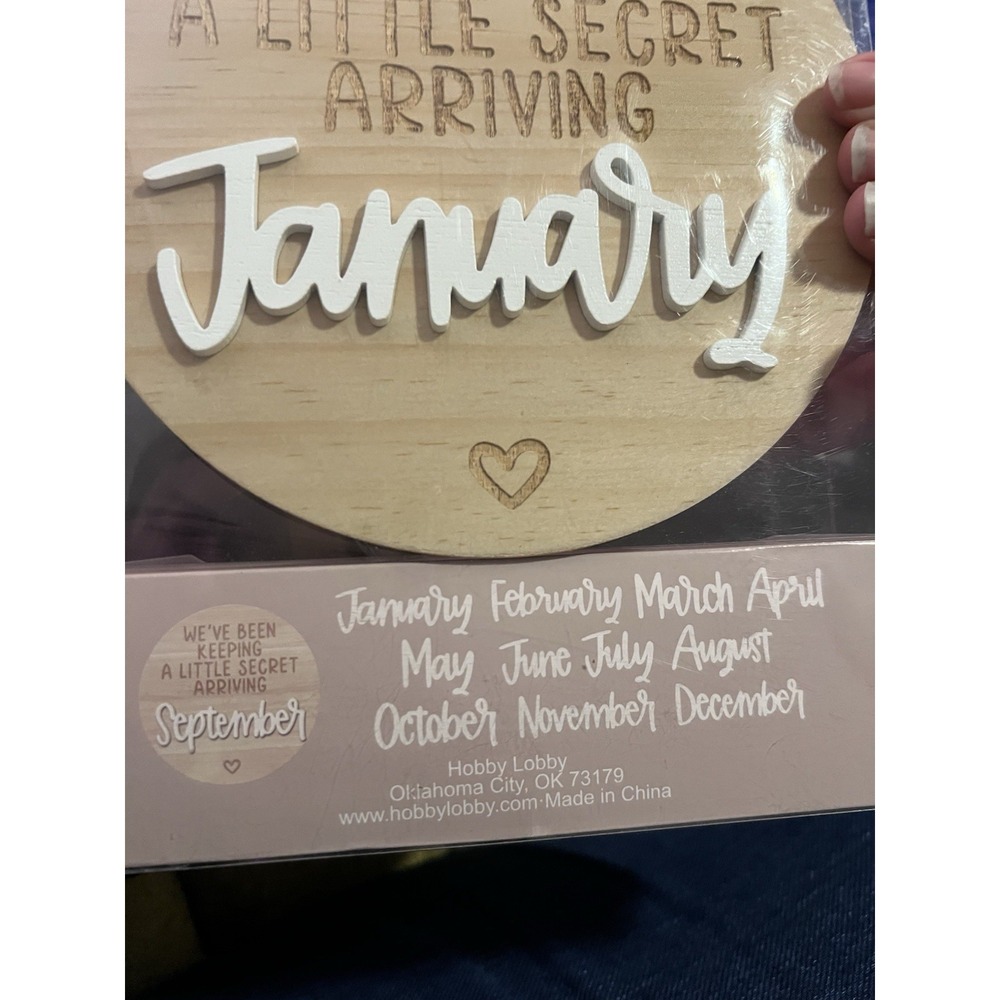 Baby Announcement Sign Keeping a Secret Wood 6.5" Diameter With All 12 Months! - Picture 3 of 4
